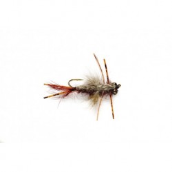 Mayfly Nymph