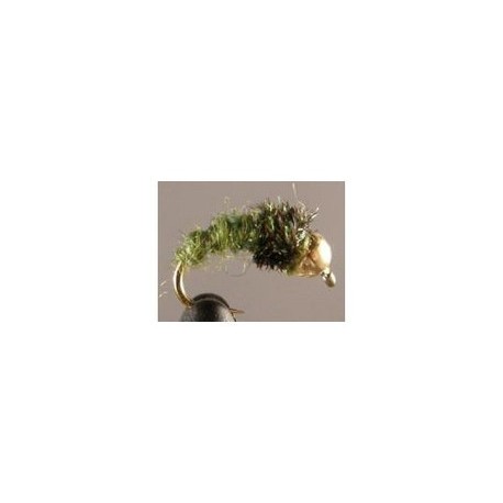 Beadhead Caddis Green Sp