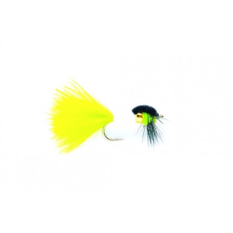 Montana Cat's Whisker Gold
