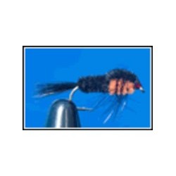Montana orange