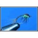 Montana Pheasant Tail