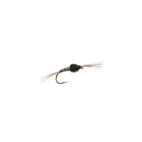 Mosquito Larva