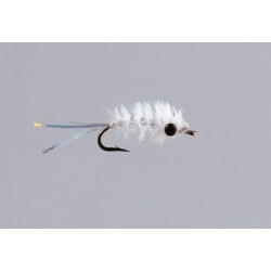 Mysis Shrimp White