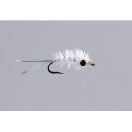 Mysis Shrimp White
