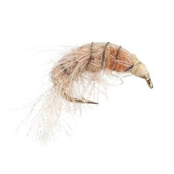 Natural Gammarus