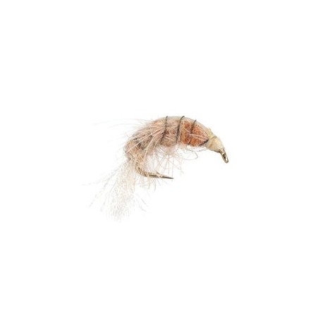 Natural Gammarus