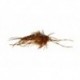 Nemec Stone Brown (Tungsten Bead Head)