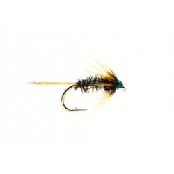 Nemo Holographic Green