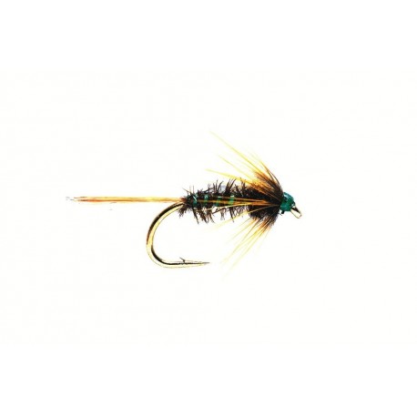 Nemo Holographic Green