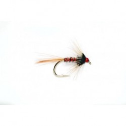 Nemo Holographic Red