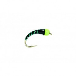 Nugget Olive & Green