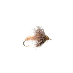 OCTOBER CADDIS PUPA