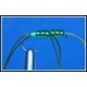 Olive Apps Beaded Bloodworm