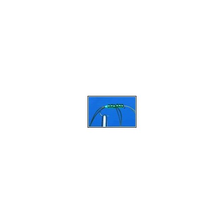 Olive Apps Beaded Bloodworm