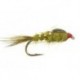 Olive G.R