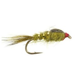 Olive G.R