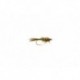 Olive Hares Ear Nymph