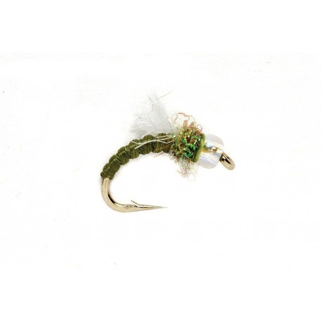 Olive Ice Midge