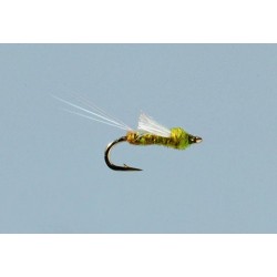 Olive RS Midge