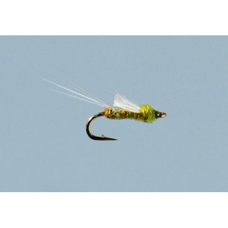 Olive RS Midge