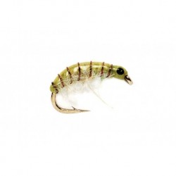 Olive Scud