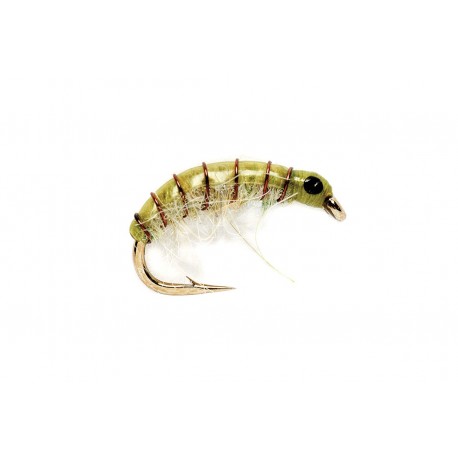 Olive Scud