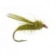 Olive Sedge