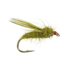Olive Sedge