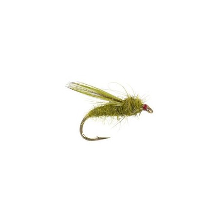 Olive Sedge