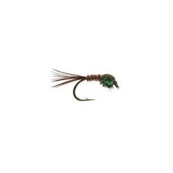 PCP NYMPH