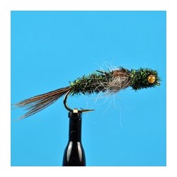 Peacock Dragon