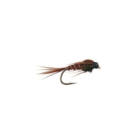 Peacock Pheasant