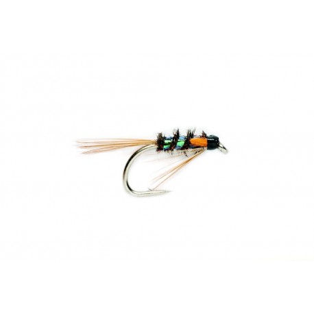 Pearl Diawl Bach