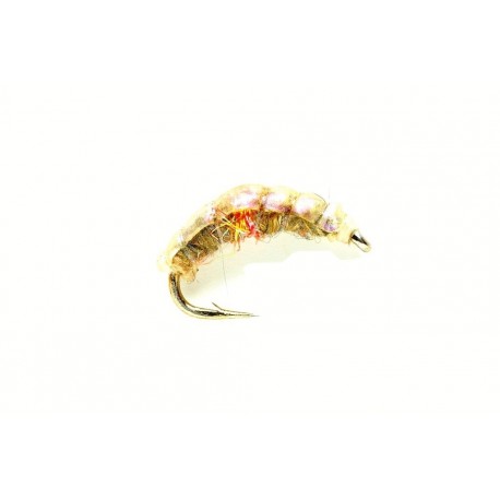 Pearl Shrimp