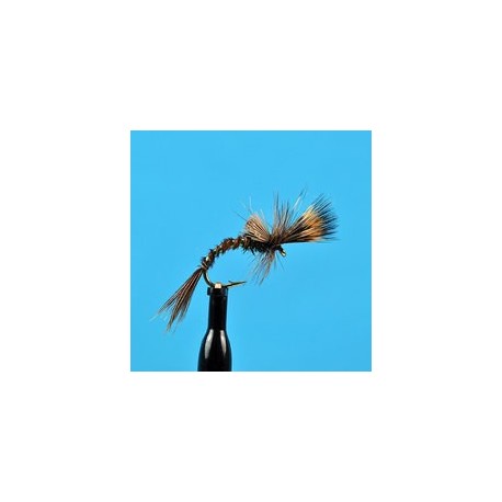 Pheasant Tail Challenged