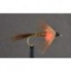 pheasant tail orange