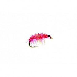 Pink Micro