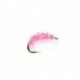 Pink Shrimp
