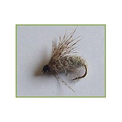 Polder creature
