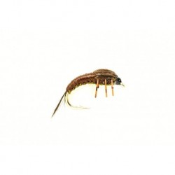 Polish Olive Brown