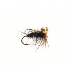 Polyfitus Black