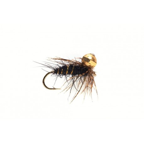 Polyfitus Black