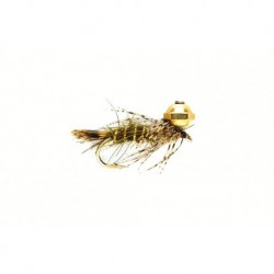 Polyfitus Olive