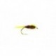 Pond Olive