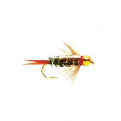 Prince Gold
