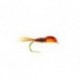 PT Orange thorax