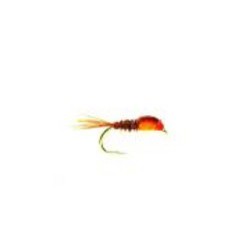 PT Orange thorax