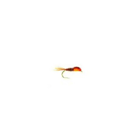 PT Orange thorax