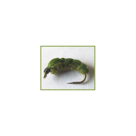 Pupa not hatched
