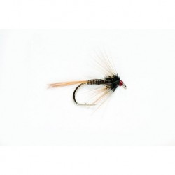 Quill